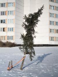 From the series "Conditions of Production" | DER GREIF