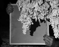 "Document" from the series "Underearth", New Mexico, USA, 2024 | DER GREIF