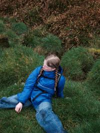 "Amber in the Grass" | DER GREIF