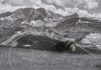 "Tension" | DER GREIF