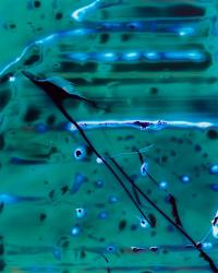 Nicolas Reinhart, "Base layer damages, 31161 machine 7 (I)", Wolfen, Germany, 2021 | DER GREIF