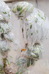 From the series "Slowing Down" | DER GREIF