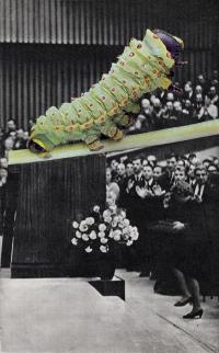 "Untitled" from the series "Promised Butterflies", Minsk, Belarus, 2025 | DER GREIF