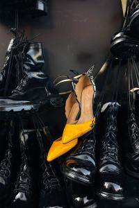 Untitled | DER GREIF