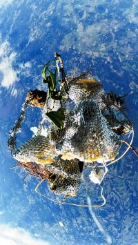 Ivar Veermäe, "The Fall" from "Second Earth" | DER GREIF