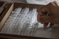 Pramod Shrestha documenting the installation of a data logger at a mosquito breeding site. | DER GREIF