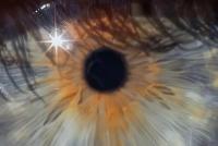 "We Live Inside a Dream", Greece | DER GREIF