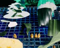 Caroline Heinecke, from the series "Future Food" | DER GREIF