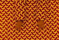 "Chameleon" | DER GREIF