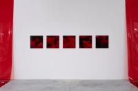 From the series "Metanoia" | DER GREIF