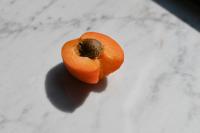 From the series "Beyond Fragments" | DER GREIF