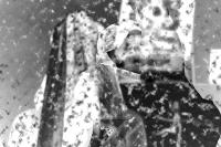 To Dither (I Still Continue) | DER GREIF