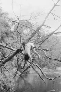 J Davies, "Aera Upsidedown" from the series "In Case We Don't Live Forever" | DER GREIF