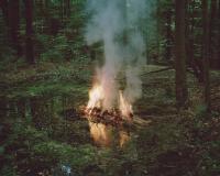 The Sanctification, from A Lair | DER GREIF