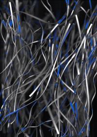 "23082023-11" | DER GREIF