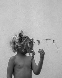 Untitled | DER GREIF