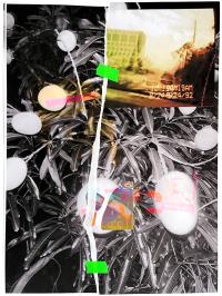 From the series "An anchor, a base, a mooring" Miami, United States, 2025 | DER GREIF