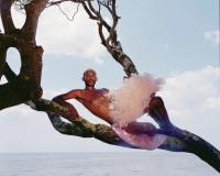 Daniel Roa, "Day Dreaming" | DER GREIF