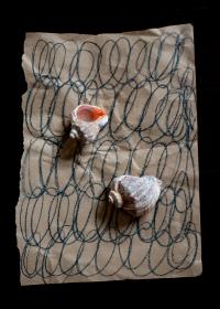 © Olena Morozova | DER GREIF