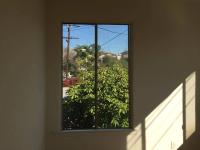 From the series "Craiglist" | DER GREIF