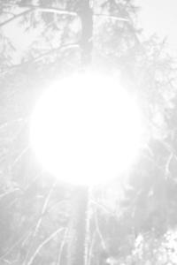 Rosa Lacavalla, "Sana Sana", 2023. 52 x 75 cm. | DER GREIF