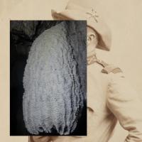 "Roosevelt" | DER GREIF