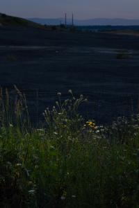 Damian Wis, "Border", Libiąż, Poland, 2024 | DER GREIF
