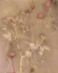 Sandra Lee Phipps, "Lumen 2" from the series "Lessons in Survival" | DER GREIF