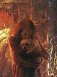 "Christine, ses murs et son chien" | DER GREIF