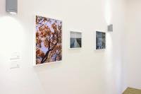 Installation view, Laurie Broughton, "Blossom in Bute", 2024 / Robert Law, "Fy Ynys (My Island)", Anglesey, North Wales, 2023 / Mohamed Hassan, "Manorbier" from the series Threads of Belonging, 2023 © Mohamed Hassan | DER GREIF