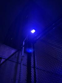 Shot ("When I'm in the blue light, I can make it alright") | DER GREIF