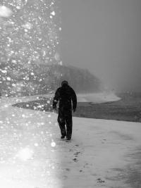 "Explorer" | DER GREIF