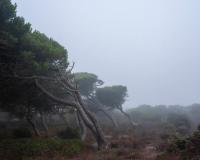 It’s Darkest Before The Dawn | DER GREIF