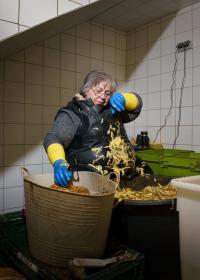 From the series "Vorwiegend festkochend / Sprouts & Skins" | DER GREIF