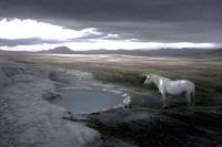 Oda Punkt, "Contemplation", Reykjavik, Iceland | DER GREIF