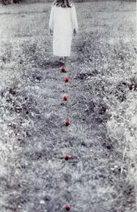 "Réminiscences", Bretagne, France, 2024 | DER GREIF