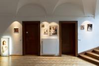 Installation view at Seidlvila © Francesco Giordano | DER GREIF