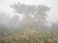 © Michał Sita and Anna Pilawska-Sita | DER GREIF