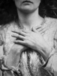 From the series "Presence" | DER GREIF