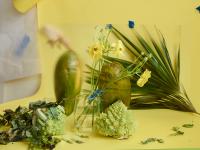 HANG IN THERE on 2yrs 4hrs44 min of sleep, 2018 | DER GREIF