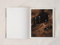 Dummy Book | DER GREIF