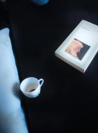 From "Una storia italiana" | DER GREIF