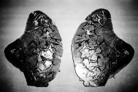 Untitled from "Breathing in 100000 km breathing out" | DER GREIF