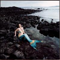 From "The Enchanted" | DER GREIF