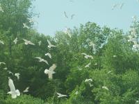 Mohamed Hassan (Alexandria, Egypt), From the series "Our Hidden Room" | DER GREIF