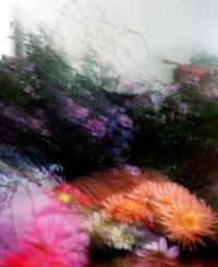 Léa Campbell, "Bread & Roses", 2021. | DER GREIF