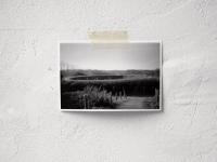 From the series "How to disappear", Den Haag, The Netherlands, 2024 | DER GREIF