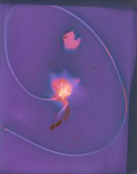 Sandra Lee Phipps, "Lumen 10" from the series "Lessons in Survival" | DER GREIF