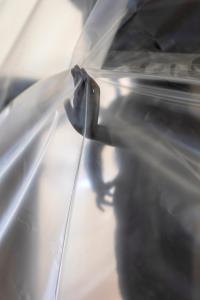 © Elena Subach | DER GREIF