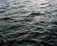 Laurie Broughton, "At Waters Edge", 2022. | DER GREIF